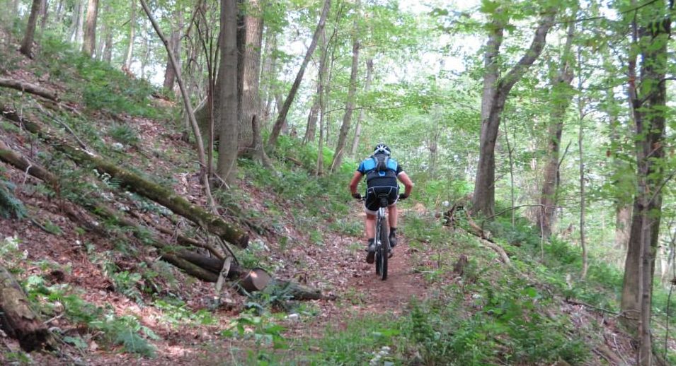 danville mountain bike trails